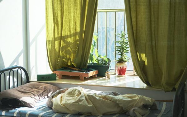 Augalas, galintis pagerinti poilsio kokybę: patarimai, kaip prižiūrėti mirtą, kad jis veiktų efektyviai