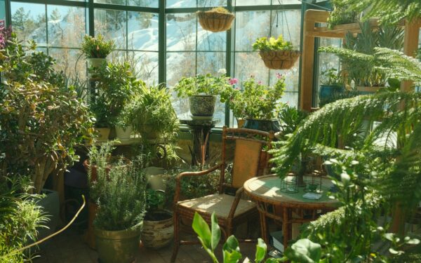 Kambariniai augalai be rūpesčių: patarimai, kaip sukurti sluoksniuotą ir gyvą interjerą