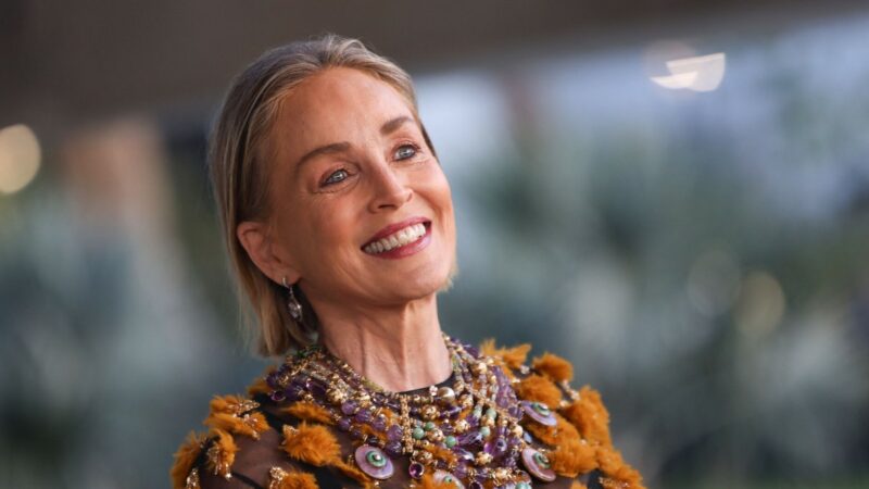 Sharon Stone gerbėjai nustebo pamatę pokytį: pasirodė neatpažįstama