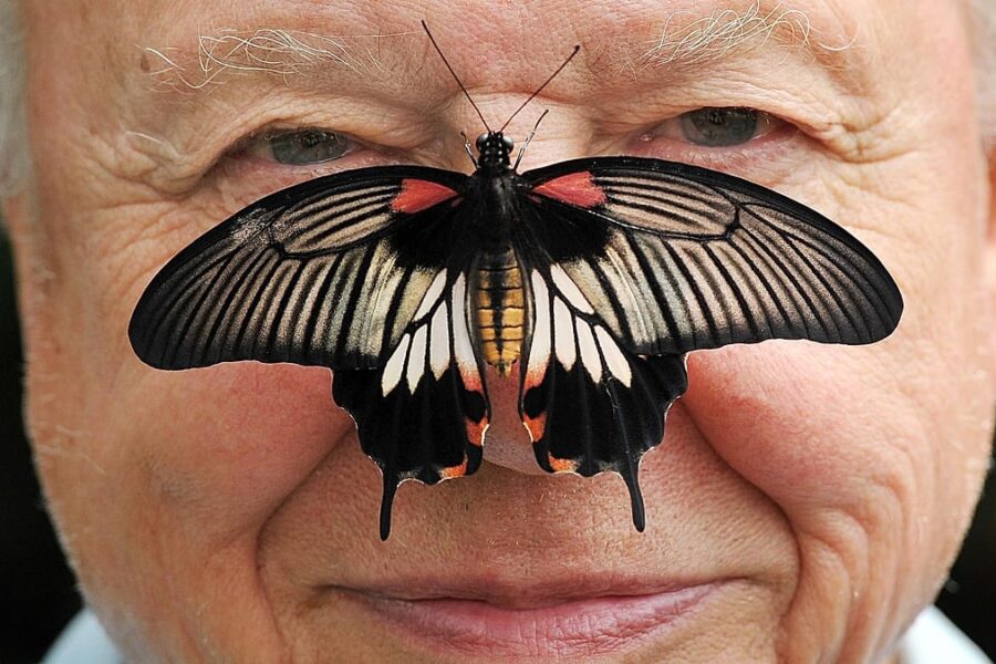 Nuo nespalvotos televizijos iki klimato krizės perspėjimų: Davidas Attenborough švenčia 100 metų jubiliejų