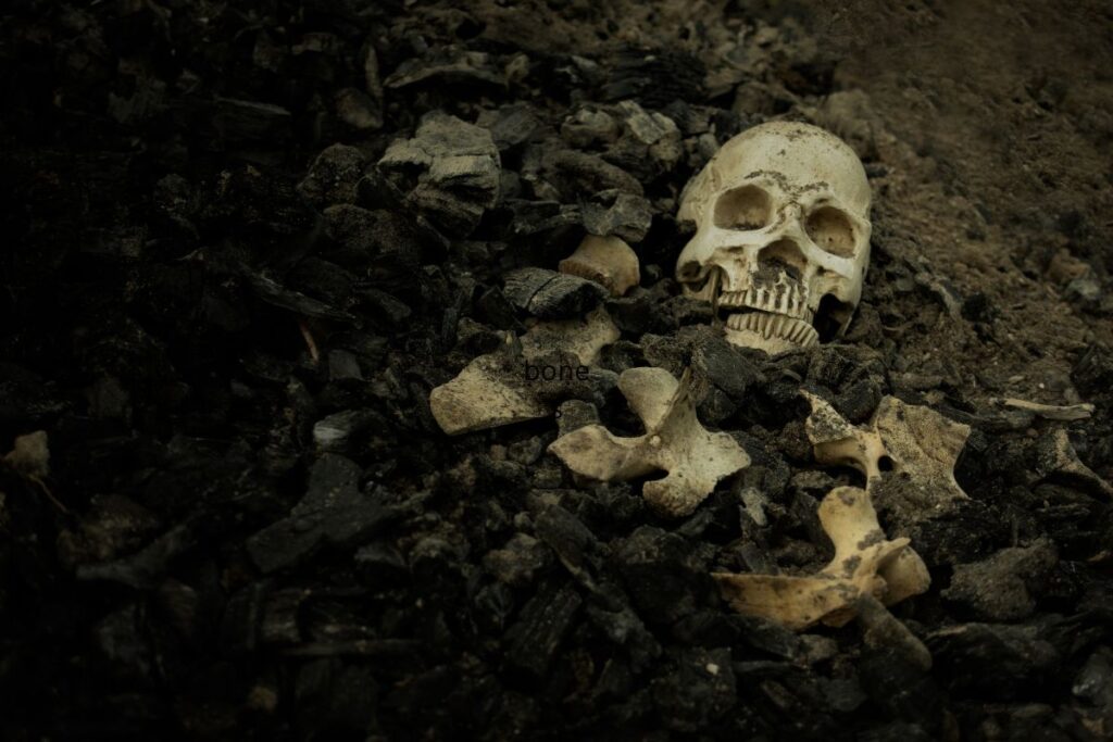 Skeletas. Canva nuotr.