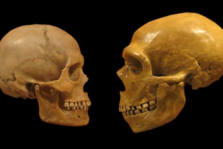 Kodėl Homo sapiens išliko, o Neandertaliečiai išnyko? Naujas tyrimas pateikia netikėtą atsakymą