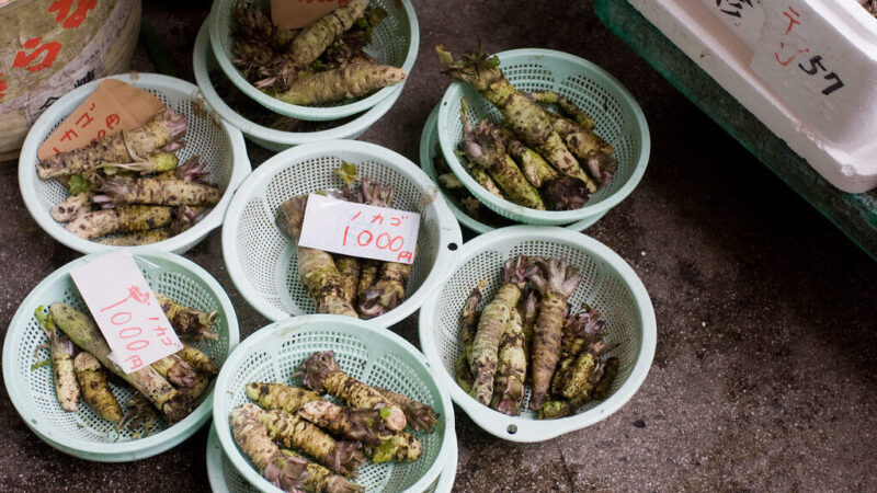 Vienas brangiausių augalų pasaulyje auginamas kaimynystėje: kilogramas kainuoja tūkstančius