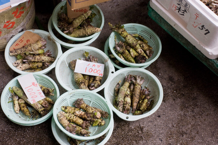 Vienas brangiausių augalų pasaulyje auginamas kaimynystėje: kilogramas kainuoja tūkstančius