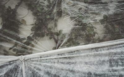 Sodininkų triukas karštai vasarai: ši danga padeda išlaikyti drėgmę ir stabdo piktžolių augimą