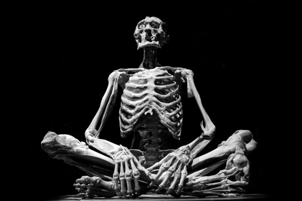 Homo Sapiens. Pexels nuotr.