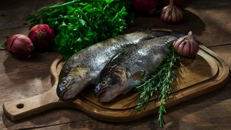 Vis daugiau žmonių vietoj skumbrės renkasi upėtakį: pasirinkimas gali maloniai nustebinti