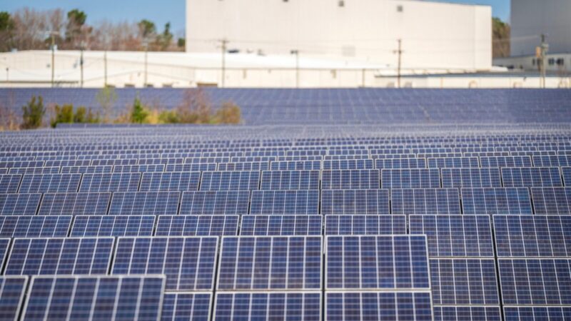 1 000 turbinų ir milijonai modulių: Etiopijoje planuojamas milžiniškas energetikos projektas
