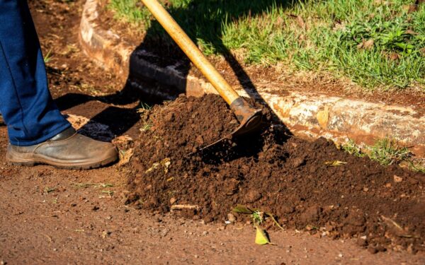 Dirva išsenka greičiau nei manote: sprendimas, kuris išgelbės derlių daug paprastesnis nei atrodo