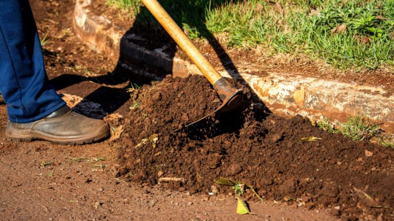 Dirva išsenka greičiau nei manote: sprendimas, kuris išgelbės derlių daug paprastesnis nei atrodo
