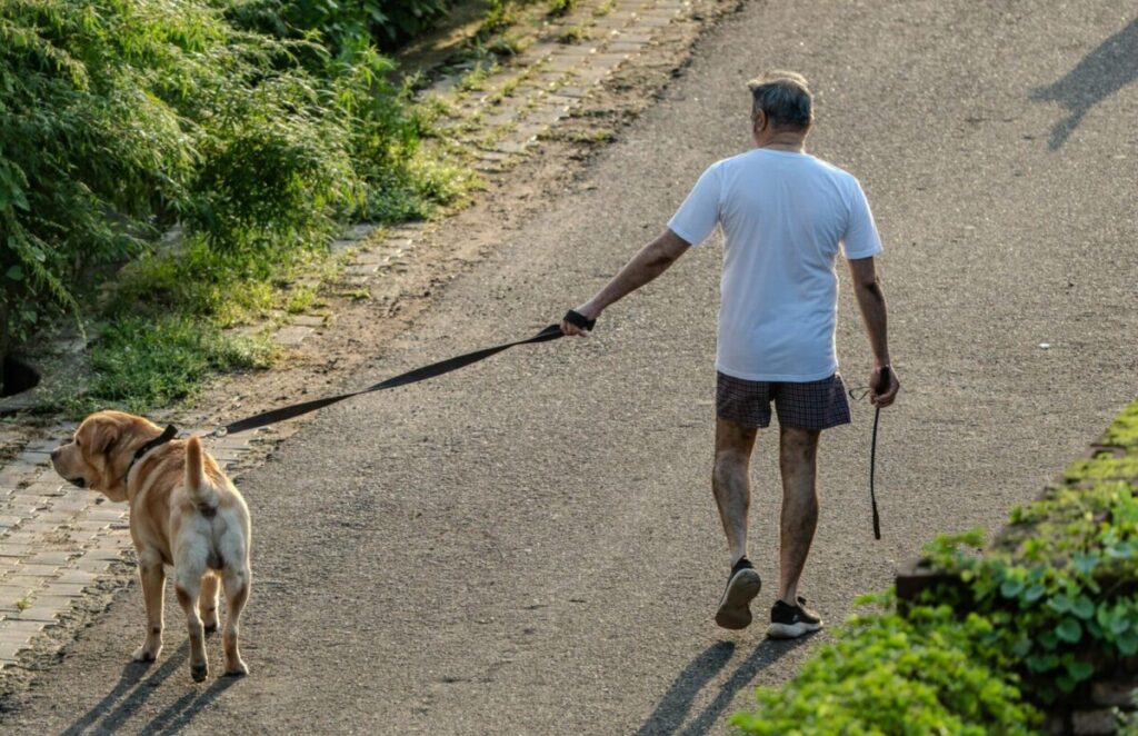 Lėtas pasivaikščiojimas. Pexels nuotr.
