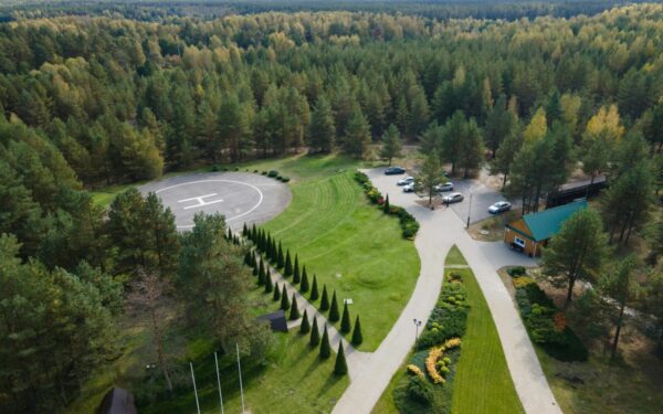Legendinė Pagėgių paveldo objektas „Raganų eglė“ nyksta: savivaldybė imsis lajos žeminimo darbų