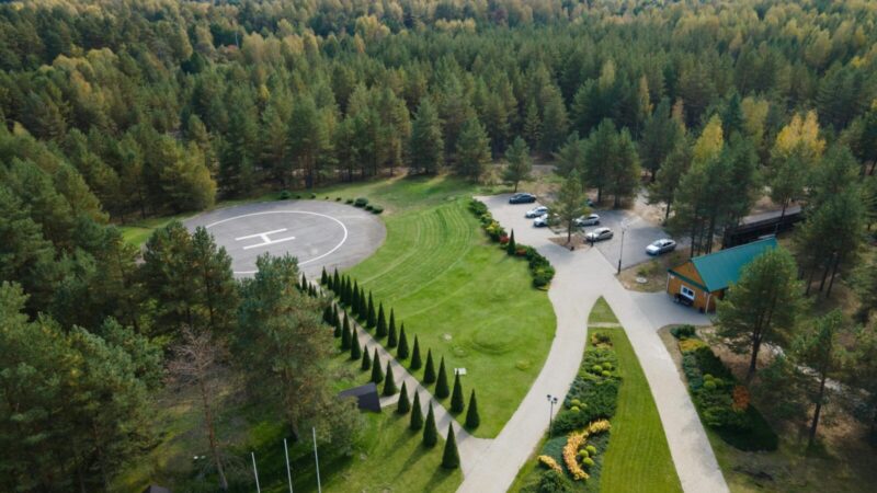 Legendinė Pagėgių paveldo objektas „Raganų eglė“ nyksta: savivaldybė imsis lajos žeminimo darbų