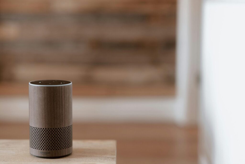 „Amazon Alexa“. Pexels nuotr.