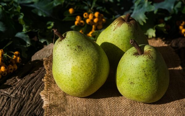 Dietologai primena apie primirštą vaisių: jis gali būti geresnis pasirinkimas nei bananas