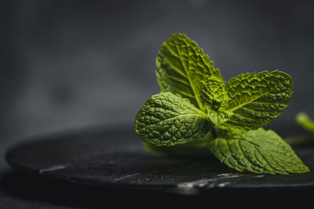 Pipirmėtė. Pexels nuotr.