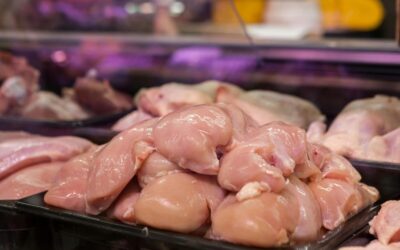 Dažnai laikoma paprasta, bet baltymų joje daugiau nei daugelis tikisi: štai, kaip teisingai paruošti