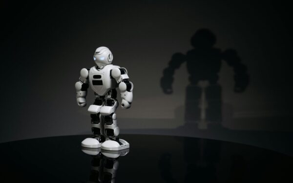 Internetą sprogdina nauja sensacija: pamatykite, kaip robotas užkariavo miestą