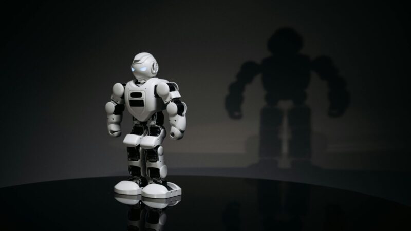 Internetą sprogdina nauja sensacija: pamatykite, kaip robotas užkariavo miestą