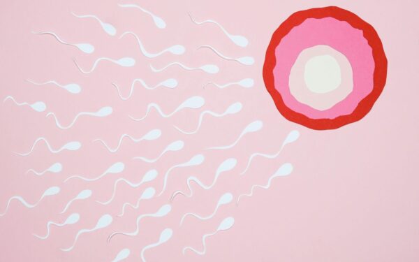 San Franciske rengia spermatozoidų olimpiadą: nugalėtojui žada 92 tūkst. eurų prizą