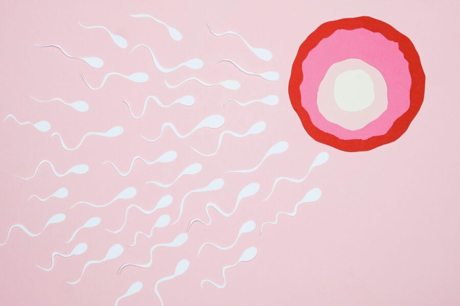 Spermatozoidai. Pexels nuotr.