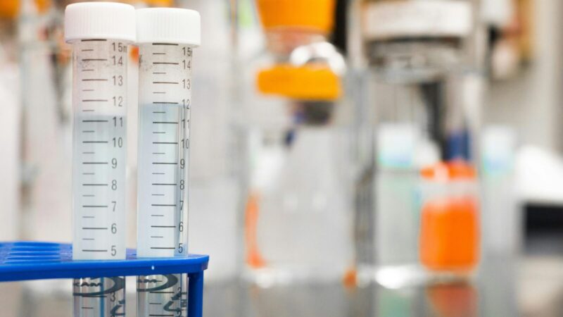 Investuotojai mato potencialą: skiria milijonus naujos kartos statybinėms medžiagoms