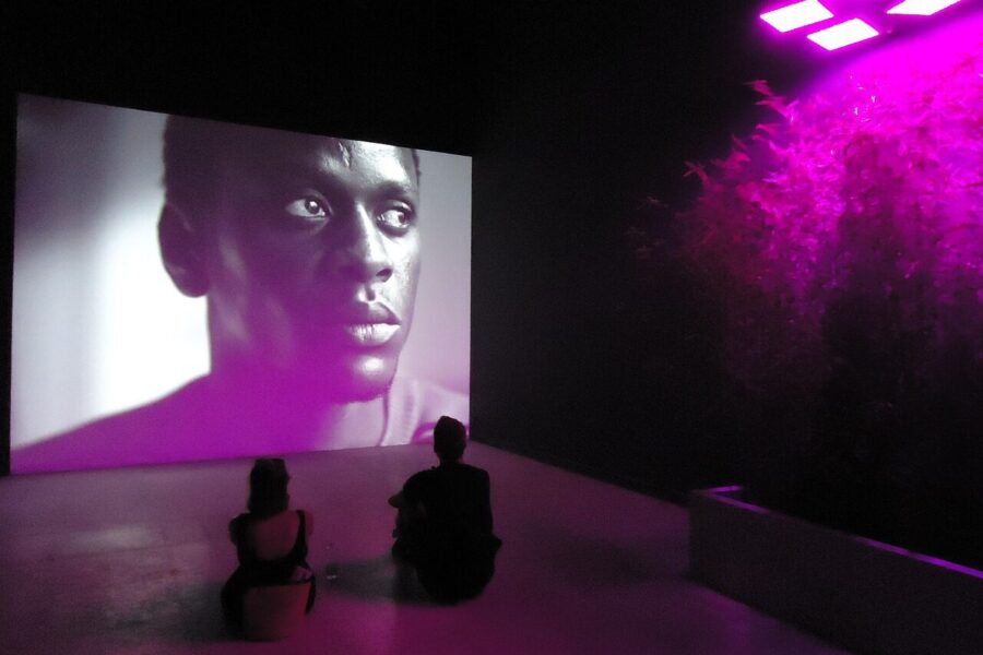 Kultūros kalendorius sproginėja: startuoja Venecijos bienalė ir garsios filmų premjeros