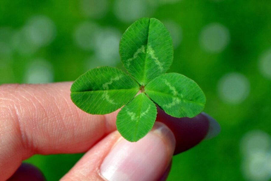 Sėkmė. Pixabay nuotr.