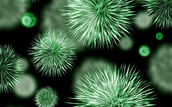 Europa ieško sprendimų: atsparumas antibiotikams tampa viena didžiausių XXI amžiaus sveikatos grėsmių