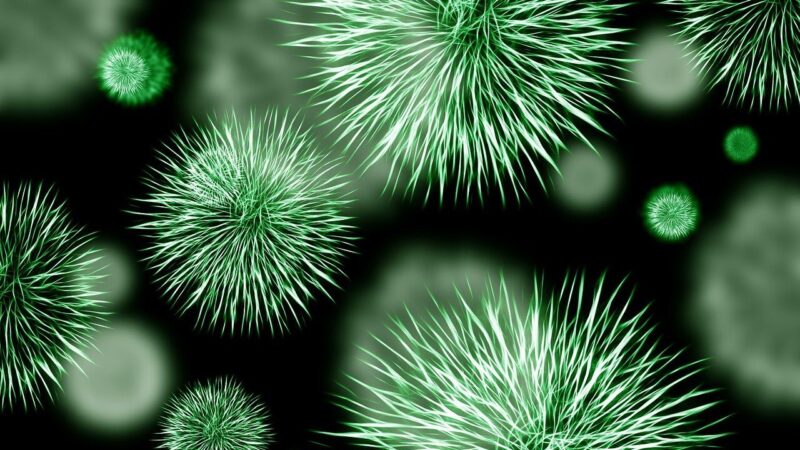 Europa ieško sprendimų: atsparumas antibiotikams tampa viena didžiausių XXI amžiaus sveikatos grėsmių