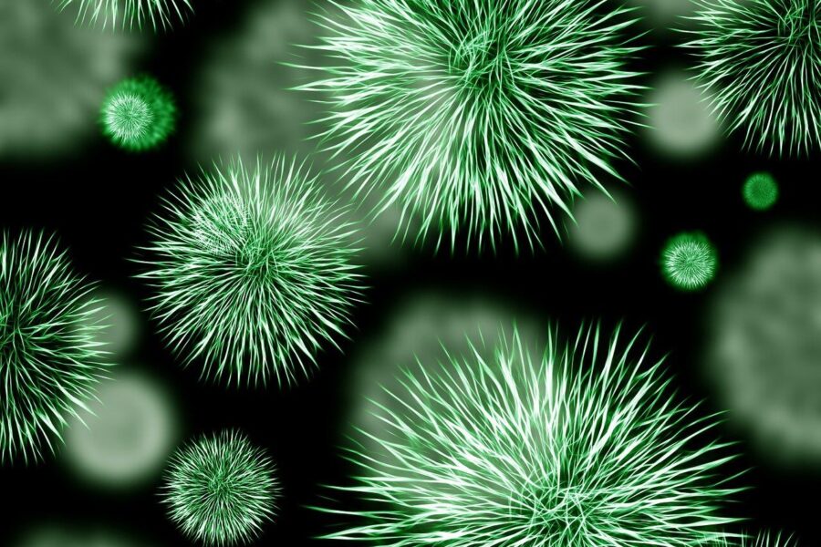 Europa ieško sprendimų: atsparumas antibiotikams tampa viena didžiausių XXI amžiaus sveikatos grėsmių