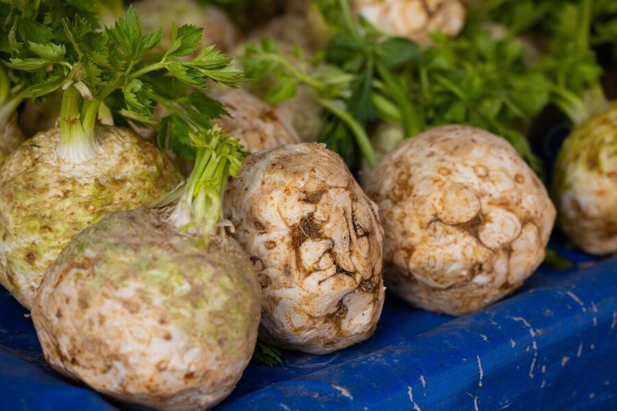 Salierų auginimas be klaidų: sodinimo principai, kada ir kaip sodinti, kad užaugtų stambūs gumbai