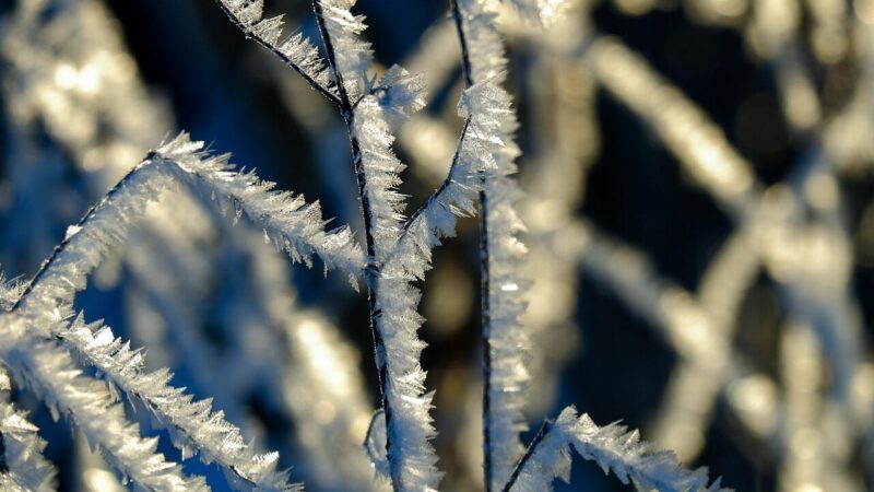 Permainų kupina savaitė: sinoptikai įspėja apie lietų, šalnas ir staigius temperatūros šuolius