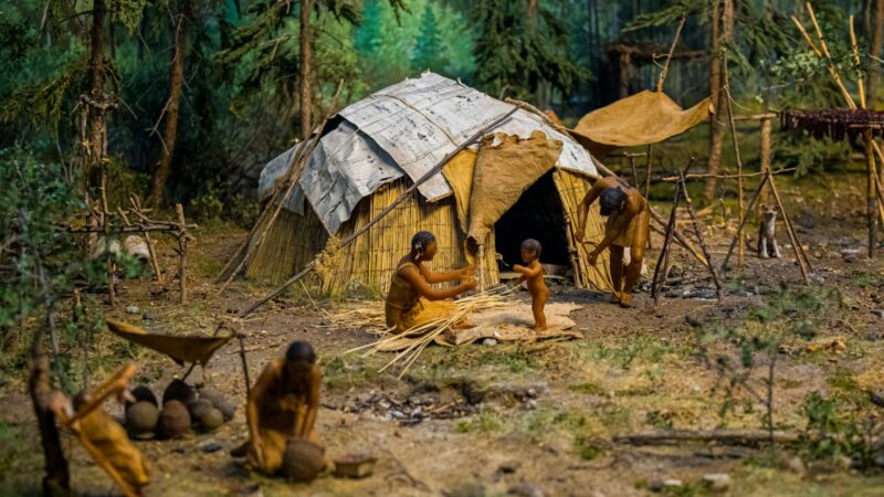 Mokslininkai apstulbo: neandertaliečiai galėjo atlikti primityvias dantų operacijas