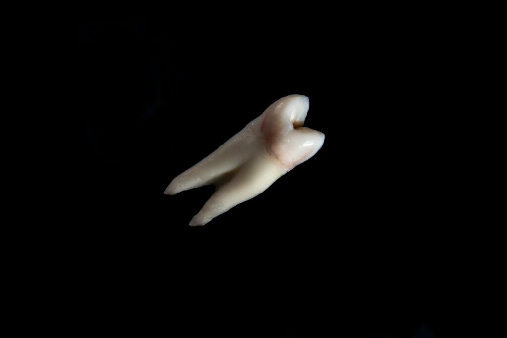 Dantys. Unsplash nuotr.