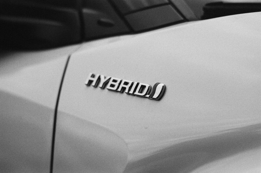Hibridas. Unsplash nuotr.