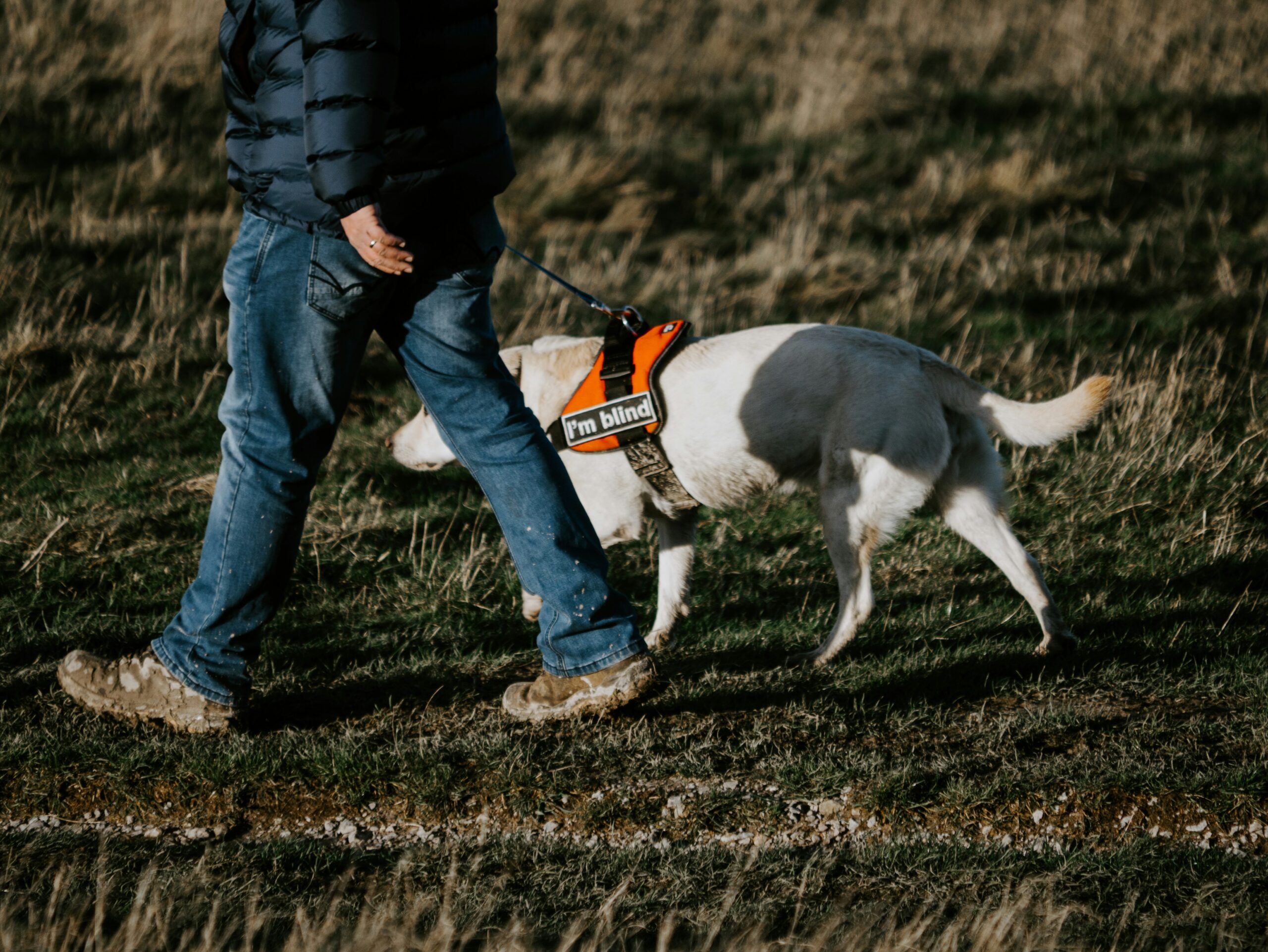 Aklas. Unsplash nuotr