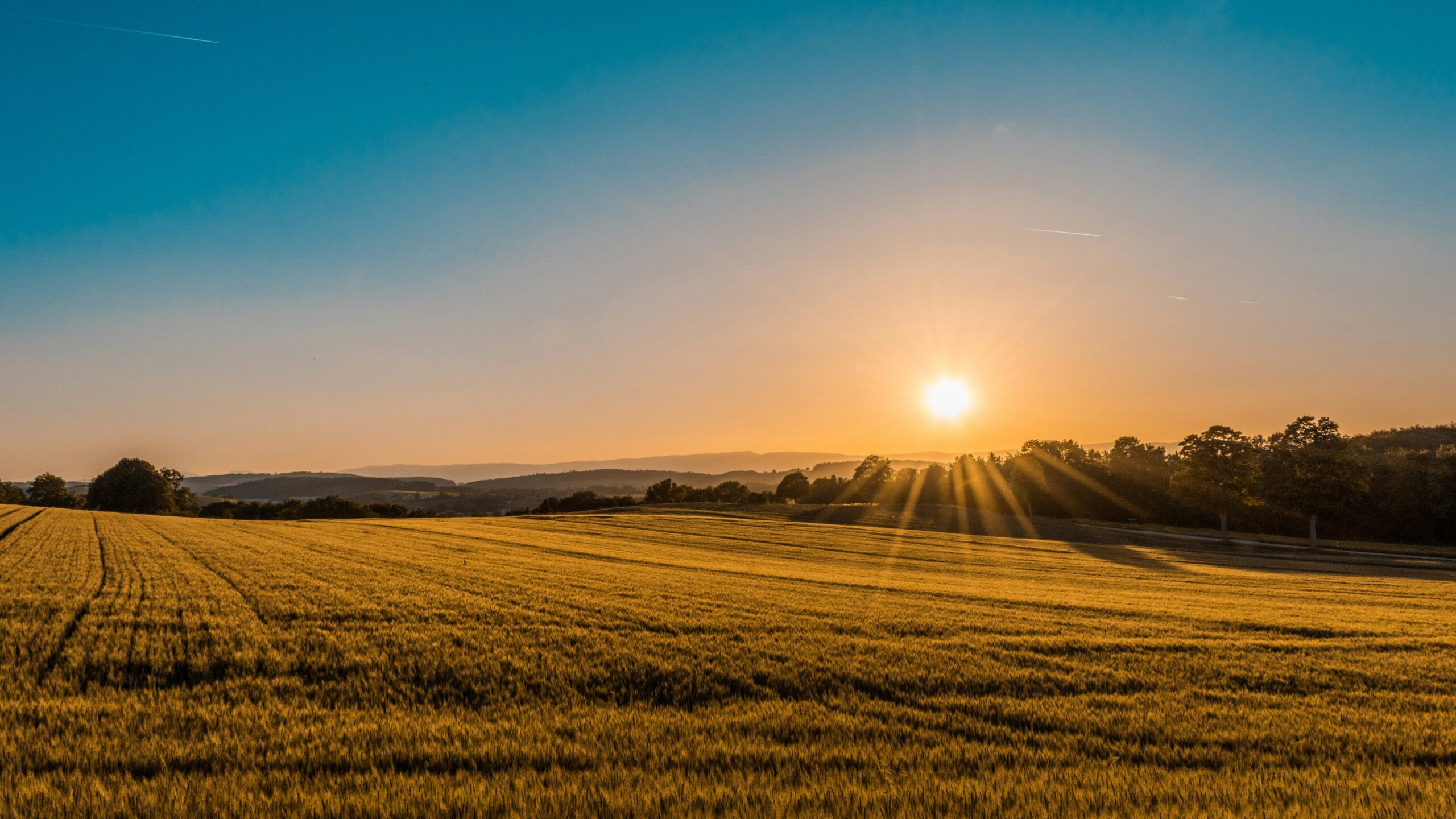 Rytas. Unsplash nuotr