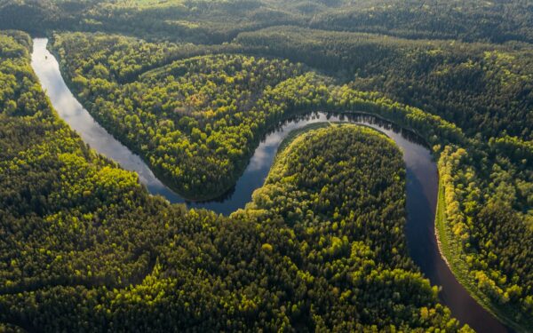 Milžiniška upė, kurią vis dar kerta tik laivai: tikrosios priežastys, kodėl Amazonėje nėra tiltų