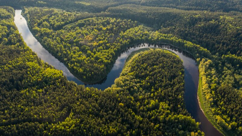 Milžiniška upė, kurią vis dar kerta tik laivai: tikrosios priežastys, kodėl Amazonėje nėra tiltų