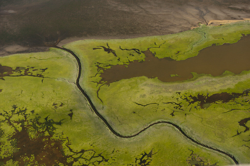 Kotzebue. Openverse nuotr.