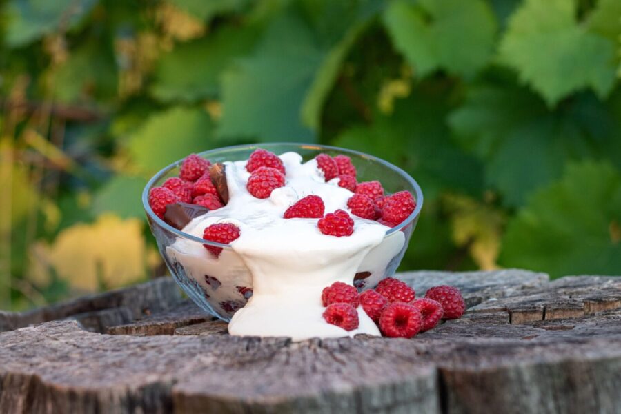 Skyr. Pexels nuotr.