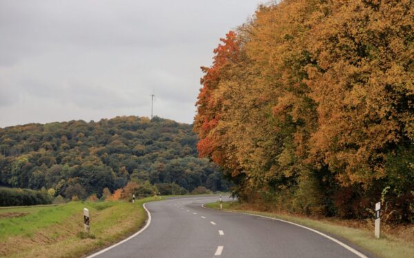 70 kilometrų betono į niekur: Vokietijos miškuose slypi keistas Trečiojo reicho palikimas