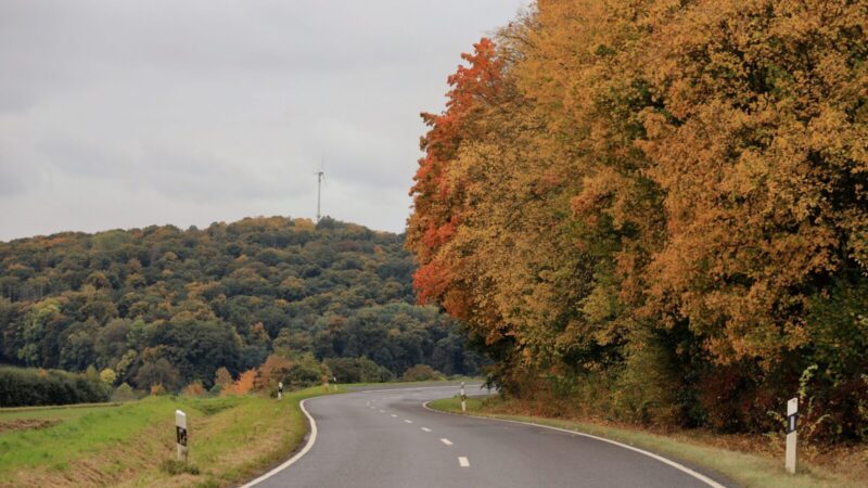 70 kilometrų betono į niekur: Vokietijos miškuose slypi keistas Trečiojo reicho palikimas