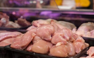 Ar verta rinktis kalakutieną? Dietologai atskleidė, kuri mėsa yra geresnis pasirinkimas