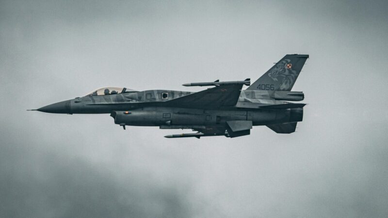 Ekspertai ragina nepasiduoti mitams: sužinokite, ar tikrai „Gripen“ gali pranokti F-35
