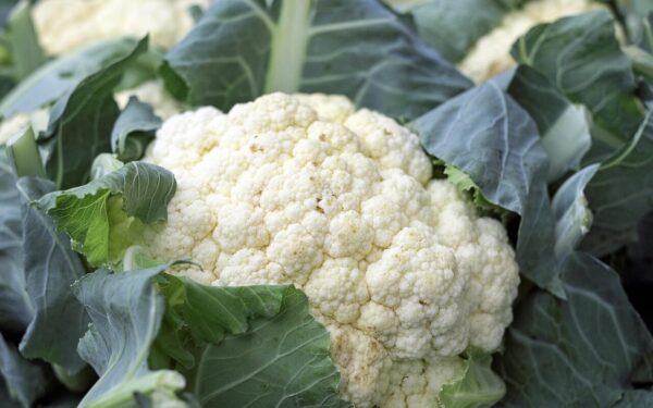 Prisiminkite šį seną būdą: vienas ingredientas gali sumažinti nemalonų žiedinio kopūsto kvapą