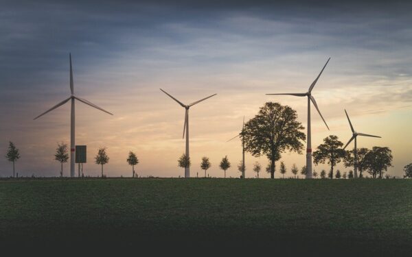 Žalioji energija turi netikėtą kainą: paaiškėjo, kodėl paukščiai gieda daug garsiau