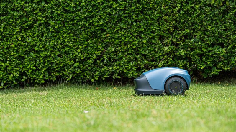 Planuojate pirkti robotą žoliapjovę? Viena dažna klaida privers jus stipriai permokėti