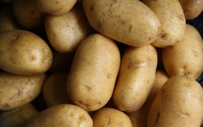 Jaunų bulvių sezonas įsibėgėja: prieš dėdami jas į puodą, atkreipkite dėmesį į vieną detalę